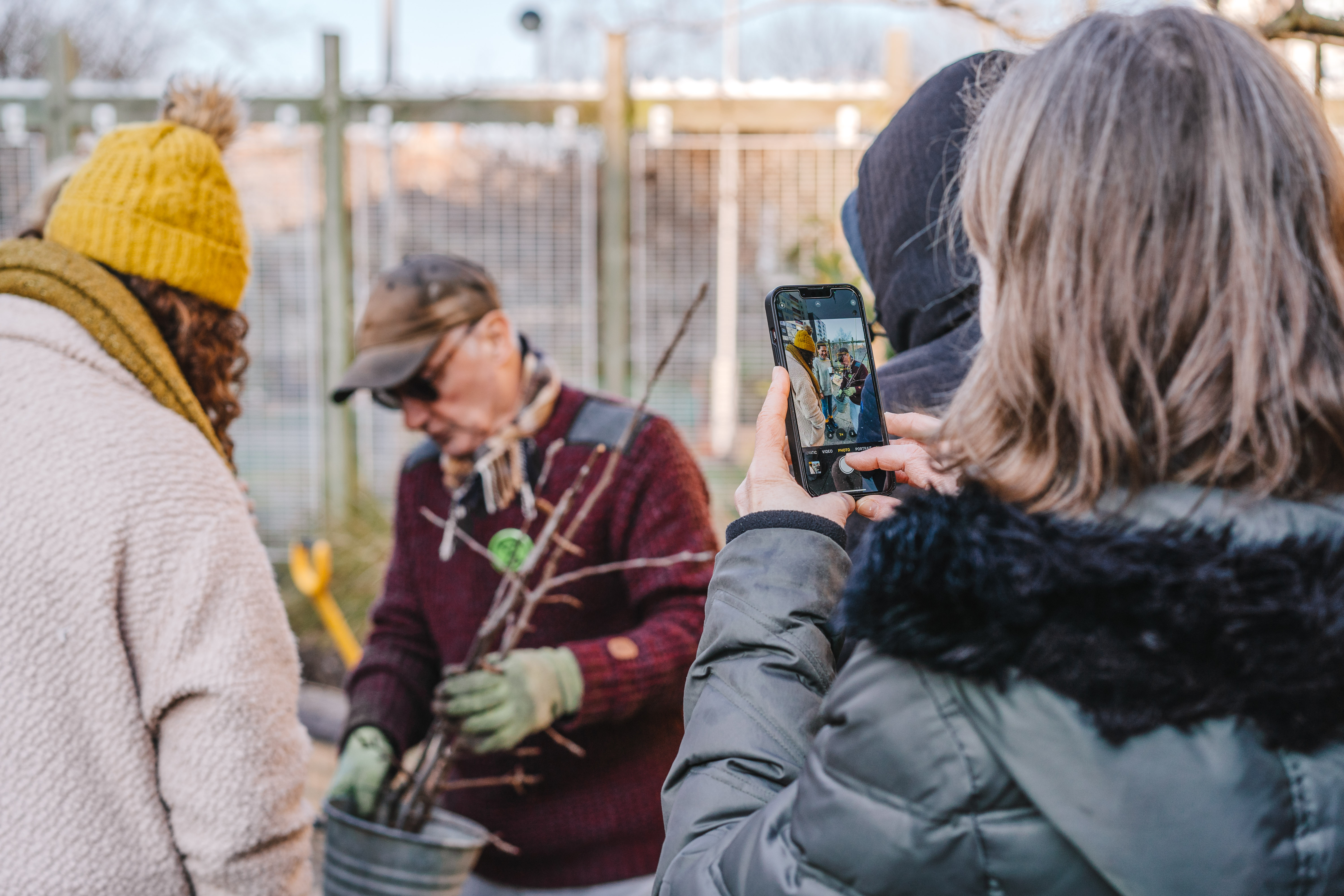 Doddington & Rollo Community Roof Garden — photo 8