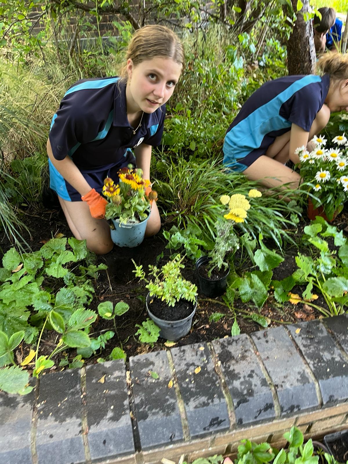 Doddington & Rollo Community Roof Garden — photo 24